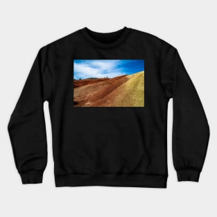 Mixed Colors Crewneck Sweatshirt